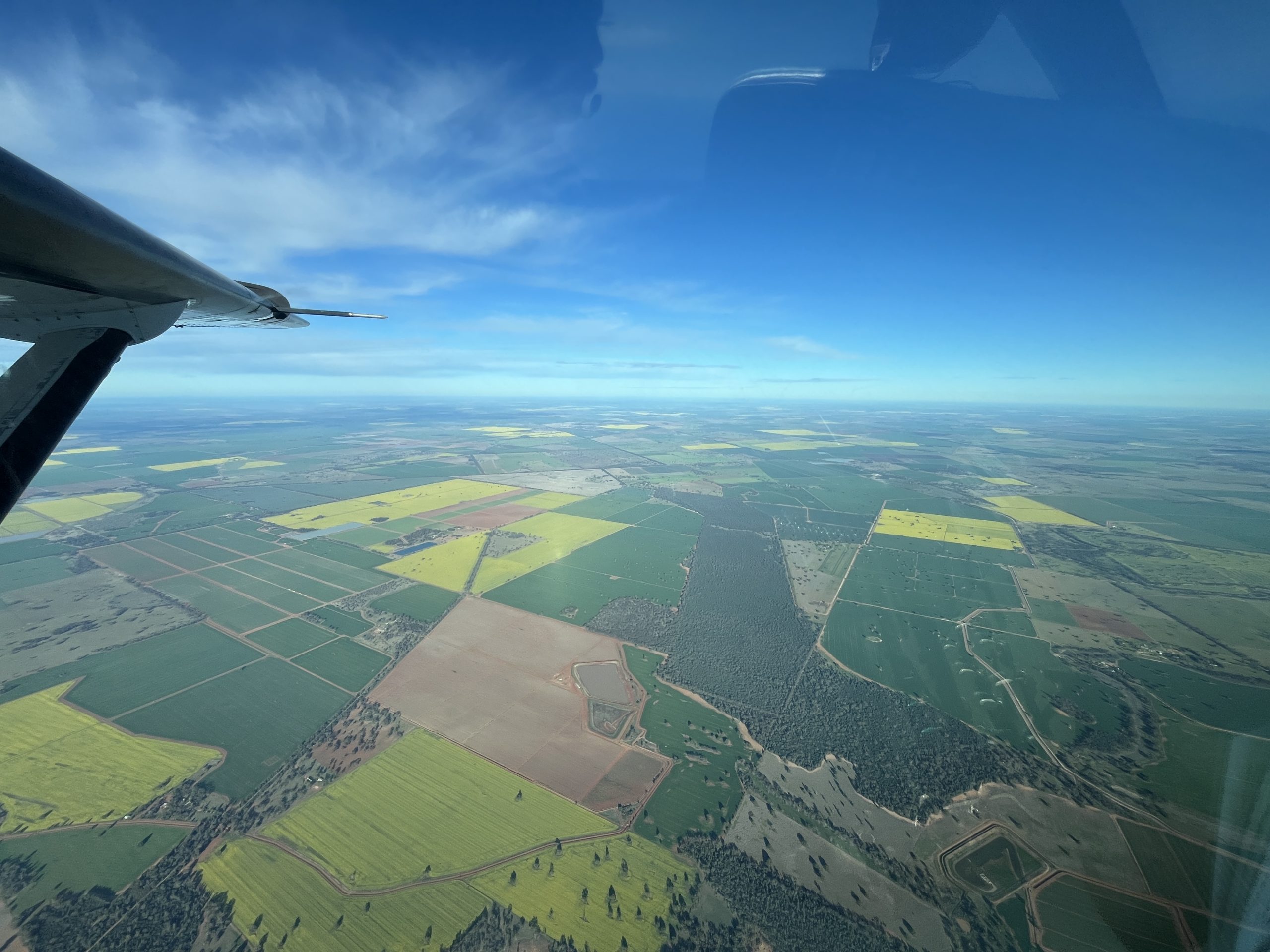 Flights Services - Views from paddock
